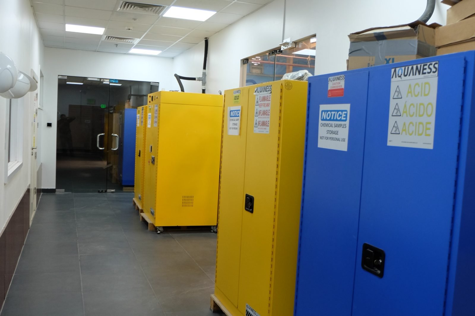 Segregated reagent and flammables cabinets